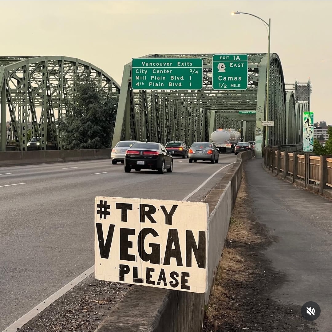 Latest post from the road